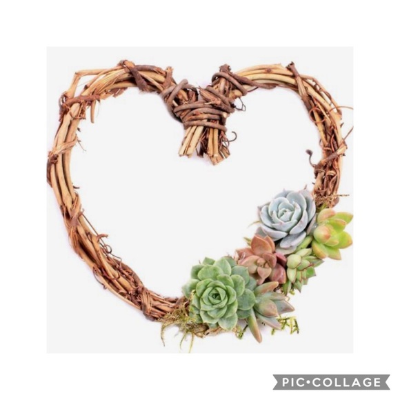 Welcome to My Closet - Picture 2 of 2